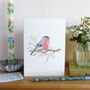 Bullfinch And Blossom Greetings Card, thumbnail 1 of 10