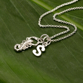 Personalised Silver Or Gold Scorpion Necklace, 4 of 12