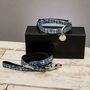 Salcombe Blue Nautical Collar And Lead Set, thumbnail 7 of 7