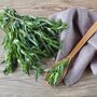 Herb Plants Tarragon 4x Large Plug Plant Pack, thumbnail 5 of 6