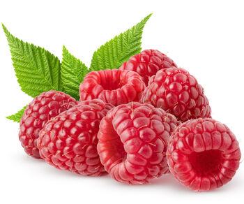 Raspberry 'Malling Admiral' Two X Bare Rooted Plants, 6 of 6