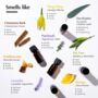 ‘Feel Good’ Pure Essential Oil Gift Set, thumbnail 3 of 7