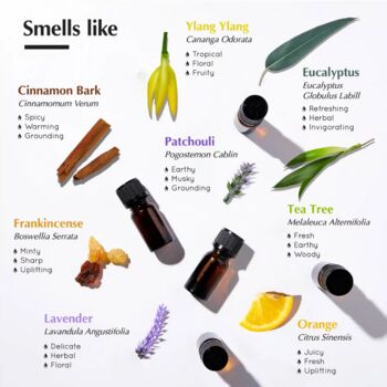 ‘Feel Good’ Pure Essential Oil Gift Set, 3 of 7
