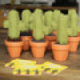 Mini Knitted Cactus In Pot, thumbnail 4 of 9