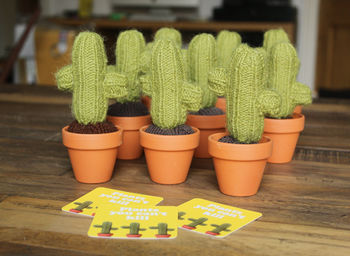 Mini Knitted Cactus In Pot, 4 of 9