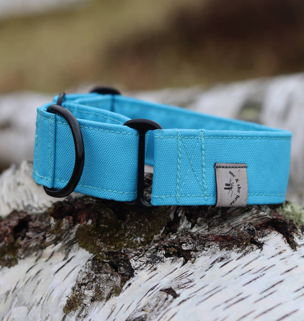 Waterproof Martingale Dog Collar By Me & The Bear
