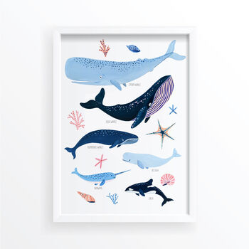 Whale Species Art Print, 4 of 7