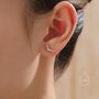 Sausage Dog Stud Earrings, thumbnail 8 of 12