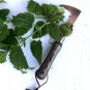 Copper Plated Garden Weeding Tool Can Be Personalised, thumbnail 2 of 4
