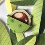 Colourful Wooden Conker Brooch, Autumn Gift, thumbnail 2 of 5