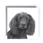 Spaniel Dog Greeting Card, thumbnail 1 of 4