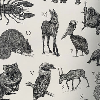 Limited Edition 'Vulnerable Species' Alphabet Print, 4 of 12