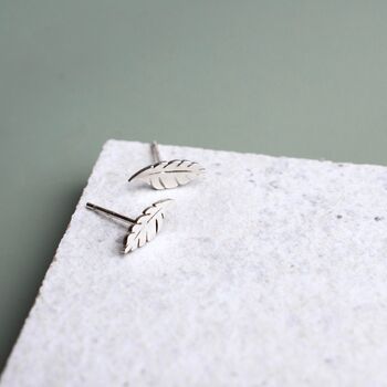 Sterling Silver Sharp Leaf Stud Earrings, 6 of 8