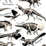 Dinosaur Fossils Print, thumbnail 4 of 8