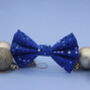 Blue Bubbles Dog Bow Tie, thumbnail 1 of 3