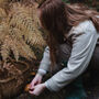 Autumn Foraging Workshop For One In The South Downs, thumbnail 5 of 12