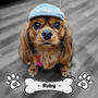 Personalised Dog Photo Slate Gift With Professional Photo Editing For Dog Mums And Dads, thumbnail 3 of 6