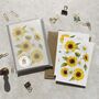 Sunflower Note Cards And Envelopes, thumbnail 7 of 7