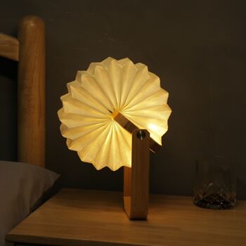 Smart Origami Lamp, 4 of 10