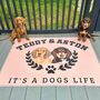 The Ulti Mutt Personalised Pet Blanket, thumbnail 2 of 12