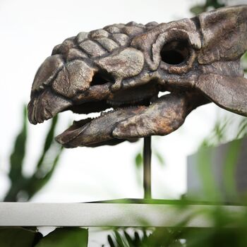 Large Hand Painted Anklyosaurus Skull Dinosaur Sculpture – Museum Quality 3D Resin Fossil Model On Black Metal Stand, Statement Home Decor, 3 of 4