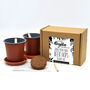 Grow Your Own Beer Plant Kit, thumbnail 2 of 2