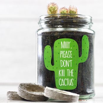 Personalised 'Don't Kill Me' Cactus Jar Grow Kit, 6 of 11