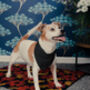 Dog Bandana Tie On Reversible, thumbnail 9 of 9