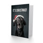 Black Labrador Photograph Dog In Santa Hat Funny Christmas Card, thumbnail 2 of 4