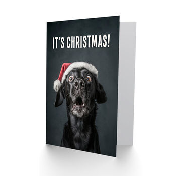 Black Labrador Photograph Dog In Santa Hat Funny Christmas Card, 2 of 4