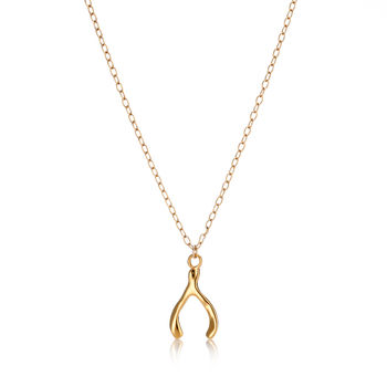 Small Wishbone Charm Necklace, 6 of 11