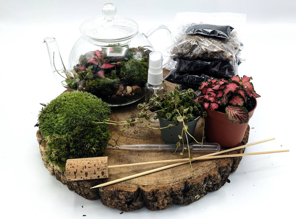 Diy Teapot Terrarium By DIY Terrariums