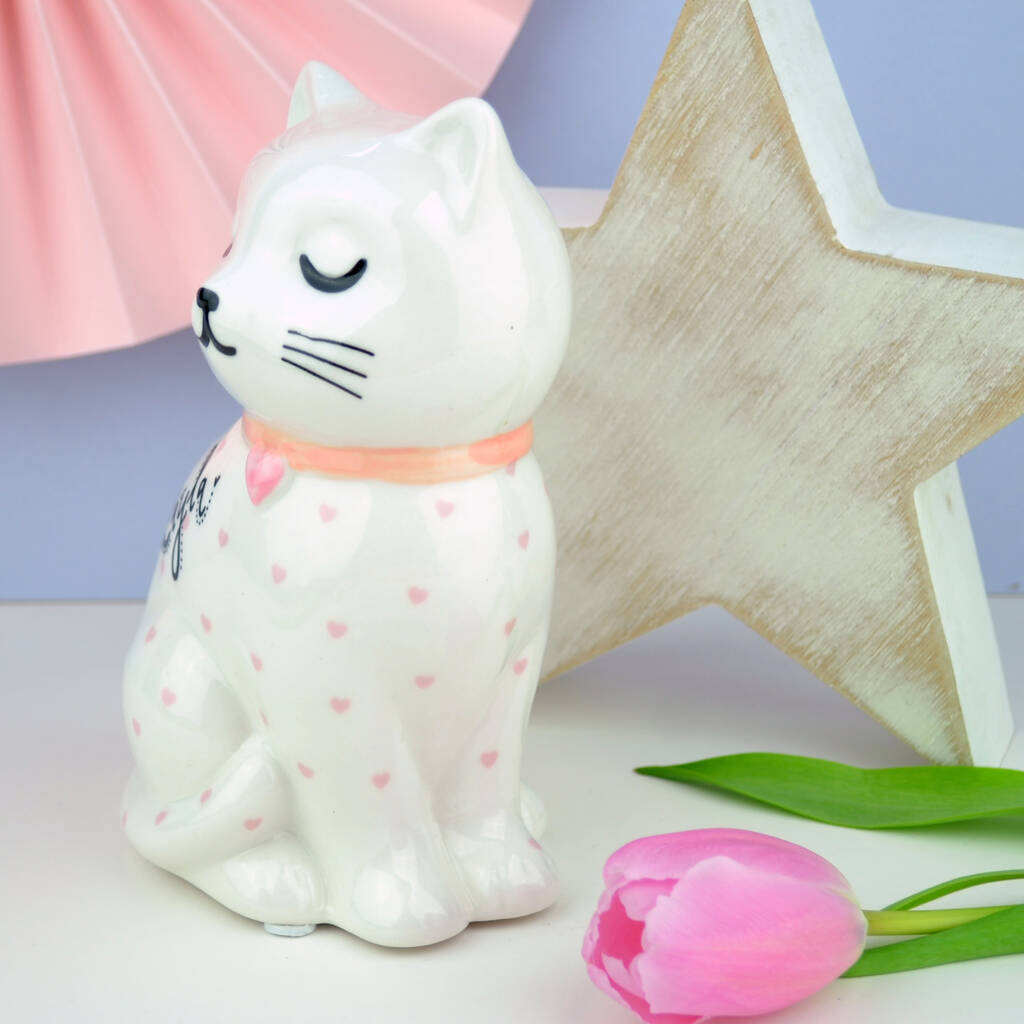 jelly cat money box