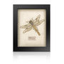 The Bullion Beetle Collection *Dragon Fly, thumbnail 1 of 1