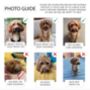 A5 Personalised Pet Notepad, thumbnail 6 of 8