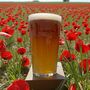 Remembrance Day Personalised Pint Glass, thumbnail 4 of 11