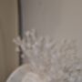 Ivory Hat With Feather Detail, thumbnail 4 of 5