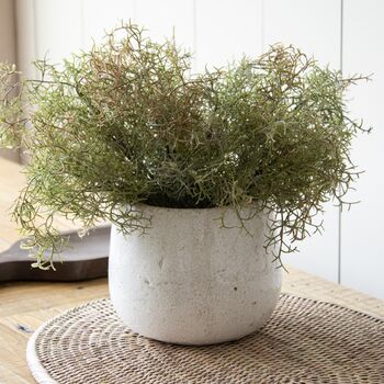 Crackled Glaze Ceramic Plant Pot, 2 of 2