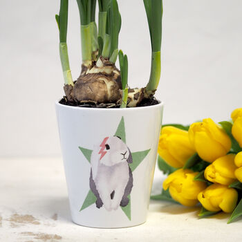 Bunny Rabbit Personalised Plant Pot With Carrot Seeds, 4 of 7