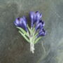 Crocus Purple Flower Brooch, thumbnail 1 of 4
