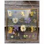 Gilded Mixed Pressed Flower Frame, thumbnail 8 of 8