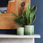 Green Ceramic Plant Pots, thumbnail 1 of 6