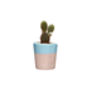 Concrete Pot Small With Cactus/ Succulent In Baby Blue, thumbnail 3 of 5
