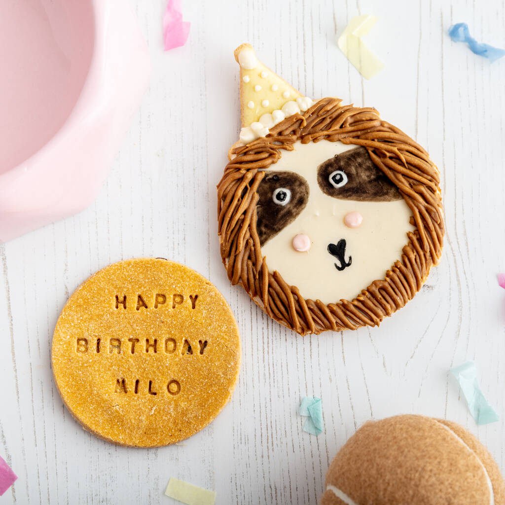 Personalised Sloth Celebration Iced Dog Biscuit Set, 1 of 2
