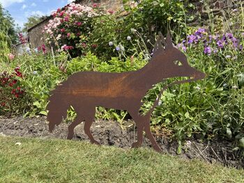 Fox Statue , Garden Feature , Lawn Decoration, 8 of 9
