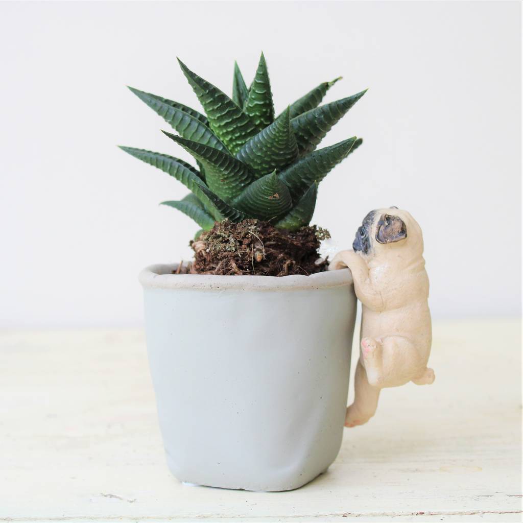 Pug Pot Hanger Ornament By Ella James