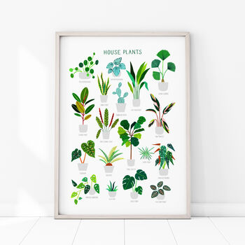 House Plant Print, 4 of 7