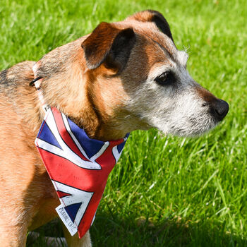 King's Coronation Union Jack Dog Bandana, 6 of 7