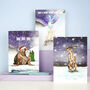 Winter Wonderland Christmas Card Pack, thumbnail 1 of 8