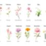 Personalised Birth Month Flower Print | Best Friends' Birth Month Blooms, thumbnail 2 of 3